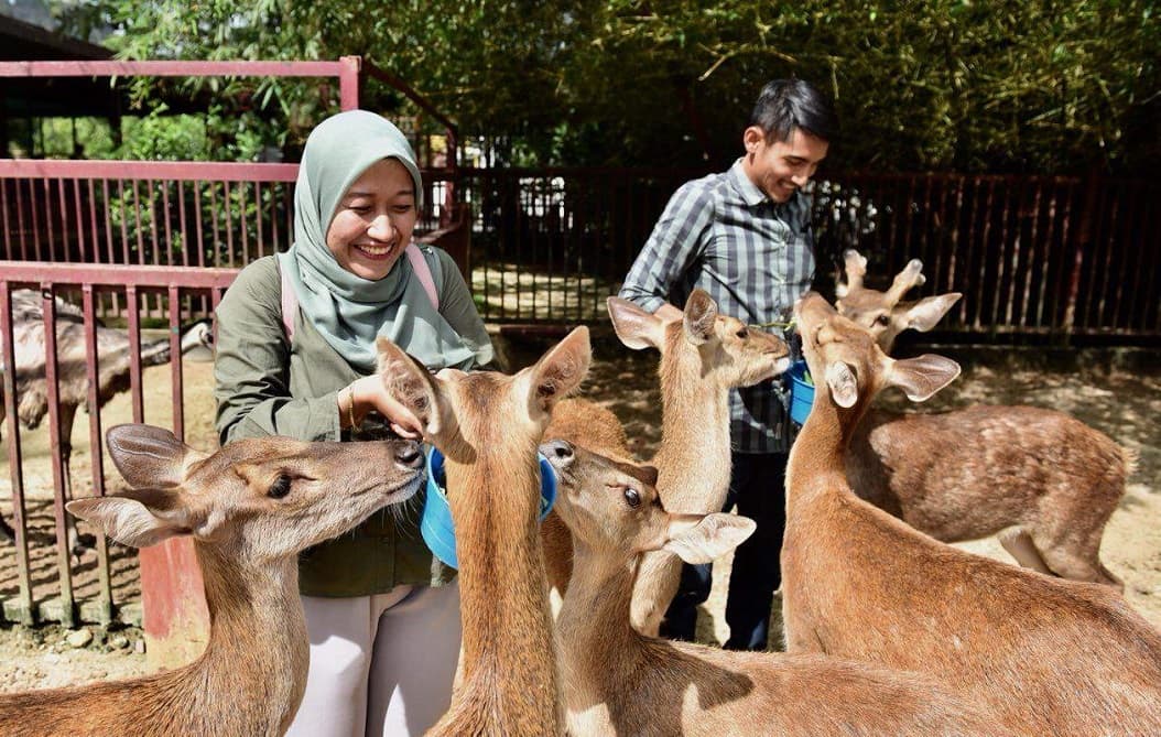 langkawi wildlife park booking