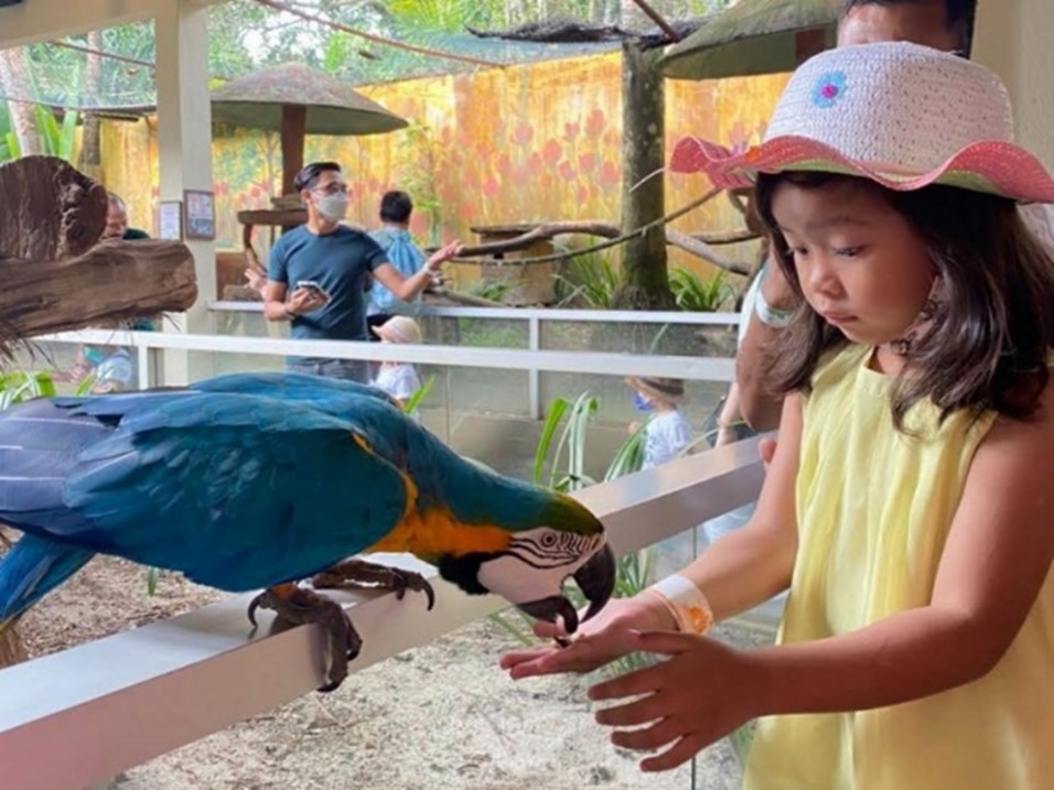 langkawi 3d2n itinerary wildfire park animal feeding