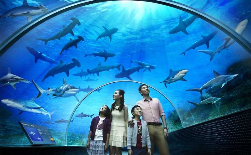 langkawi attraction underwater world langkawi booking