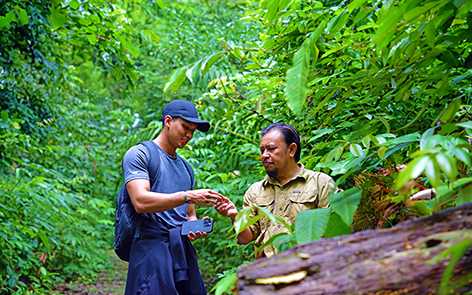 Tourists enjoying jungle walks at Eco Adventure by Darulaman Sanctuary