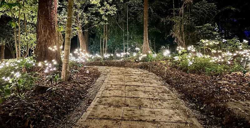 Pathway at Dream Forest Langkawi