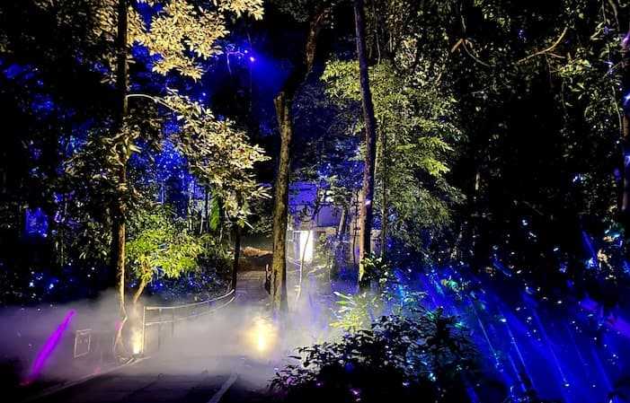 Interactive digital technology and illuminations at Dream Forest Langkawi